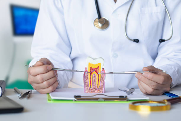 Best Emergency Dental Care for Broken or Chipped Teeth in Alum Rock, CA